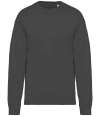 NS407 Oversized Sweatshirt Iron Grey colour image